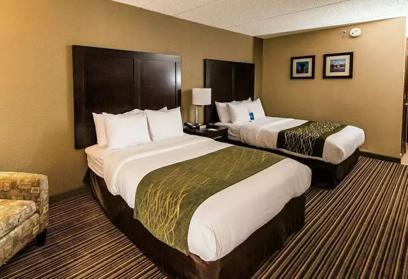 اتاق استاندارد با 2 تخت دوبل, Comfort Inn Lehigh Valley West