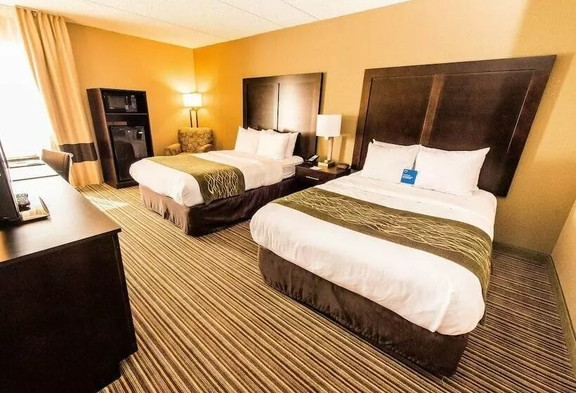 اتاق استاندارد با 2 تخت دوبل, Comfort Inn Lehigh Valley West