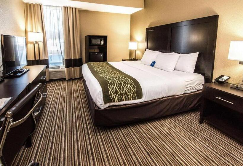 キングサイズベッドのスタンダードルーム, Comfort Inn Lehigh Valley West
