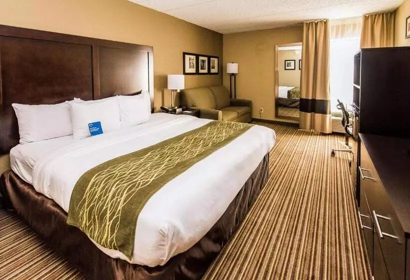 اتاق استاندارد با تخت بزرگ, Comfort Inn Lehigh Valley West