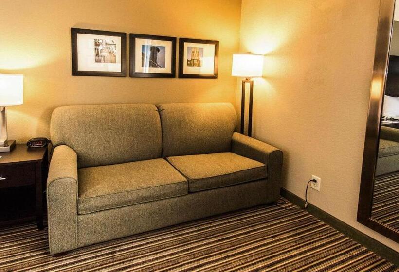キングサイズベッドのスタンダードルーム, Comfort Inn Lehigh Valley West