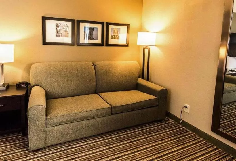 اتاق استاندارد با تخت بزرگ, Comfort Inn Lehigh Valley West