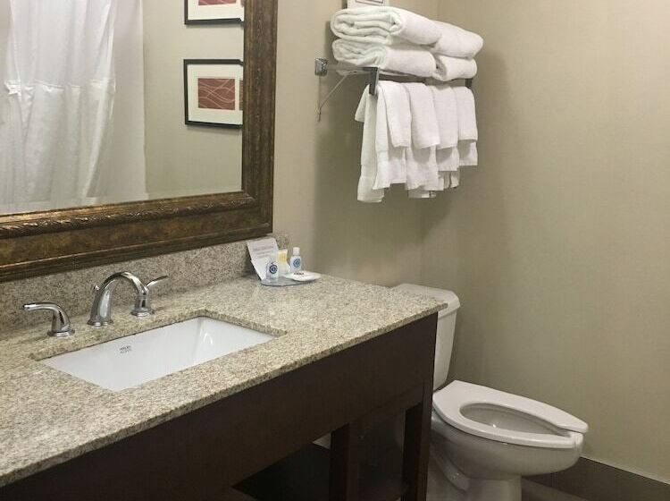 Pokój Standard 2 Łóżka Małżeńskie, Comfort Inn Hamburg Area I 75 Lexington