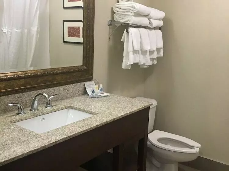 ２ダブルベッドのスタンダードルーム, Comfort Inn Hamburg Area I 75 Lexington