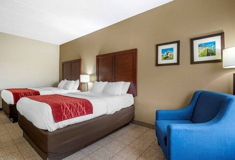 Pokój Standard 2 Łóżka Małżeńskie, Comfort Inn Hamburg Area I 75 Lexington