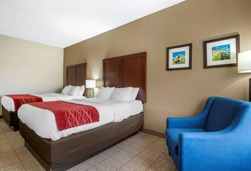 ２ダブルベッドのスタンダードルーム, Comfort Inn Hamburg Area I 75 Lexington