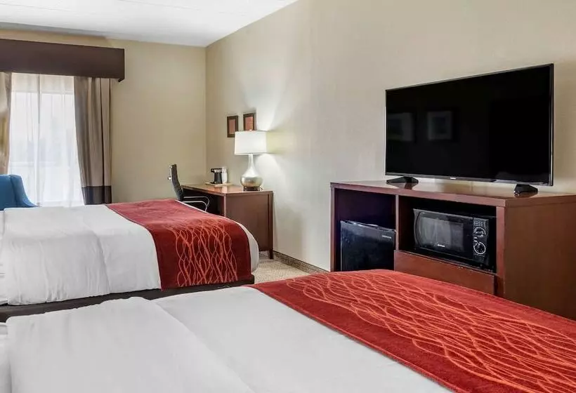 ２ダブルベッドのスタンダードルーム, Comfort Inn Hamburg Area I 75 Lexington