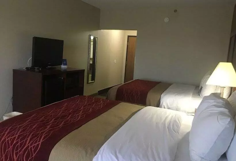 ２ダブルベッドのスタンダードルーム, Comfort Inn Hamburg Area I 75 Lexington