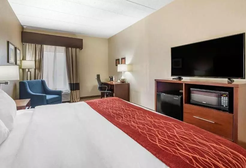キングサイズベッドのスタンダードルーム, Comfort Inn Hamburg Area I 75 Lexington