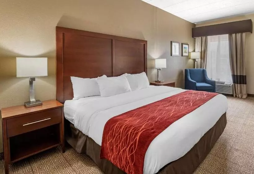 キングサイズベッドのスタンダードルーム, Comfort Inn Hamburg Area I 75 Lexington