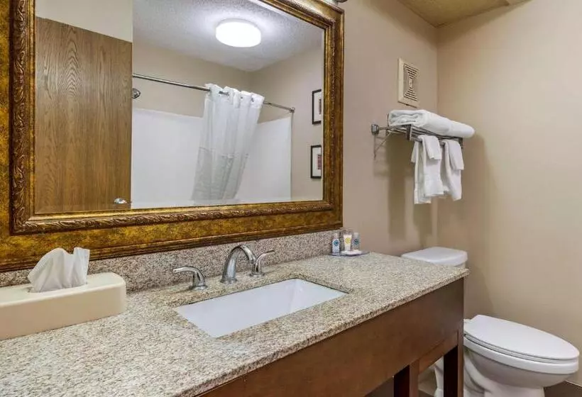 キングサイズベッドのスタンダードルーム, Comfort Inn Hamburg Area I 75 Lexington