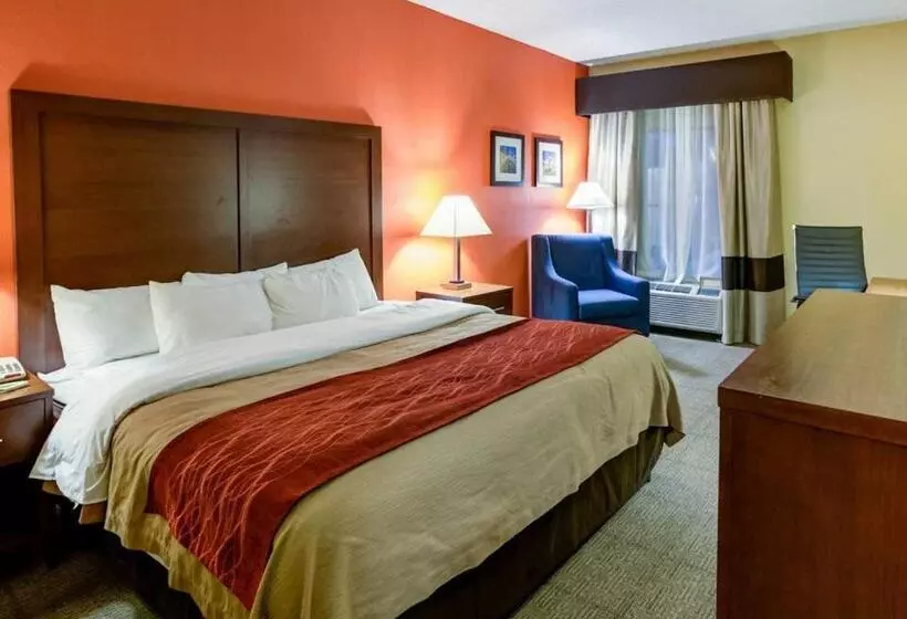 キングサイズベッドのスタンダードルーム, Comfort Inn Hamburg Area I 75 Lexington