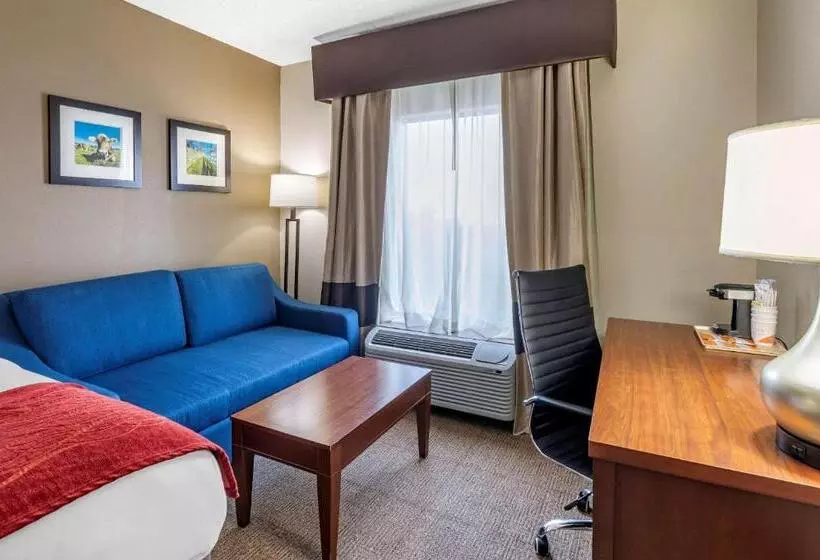 スイート, Comfort Inn Hamburg Area I 75 Lexington