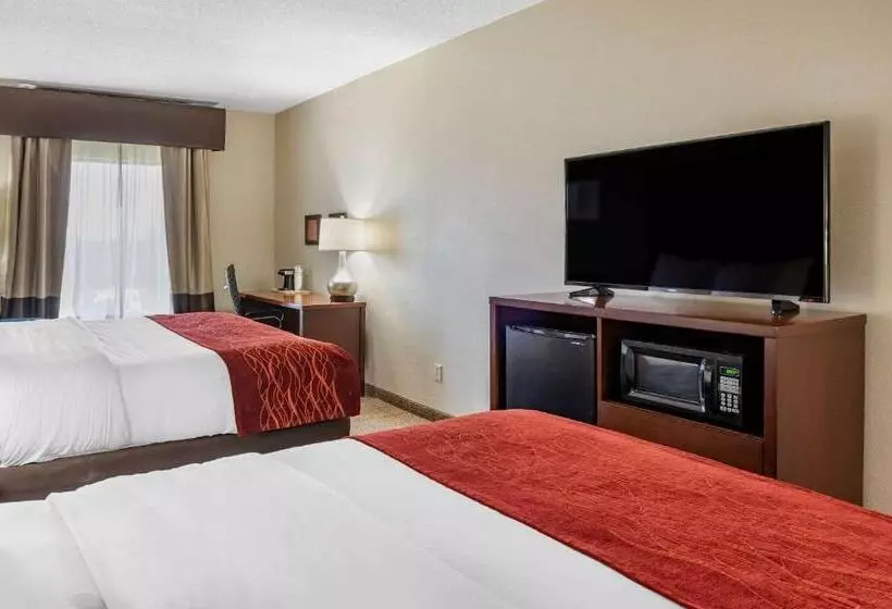 スイート, Comfort Inn Hamburg Area I 75 Lexington