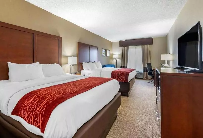 スイート, Comfort Inn Hamburg Area I 75 Lexington
