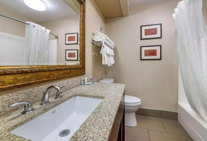 スイート, Comfort Inn Hamburg Area I 75 Lexington