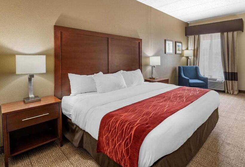 Pokój Typu Standard Łóżko King Przystosowany dla Osób Niepełnosprawnych, Comfort Inn Hamburg Area I 75 Lexington