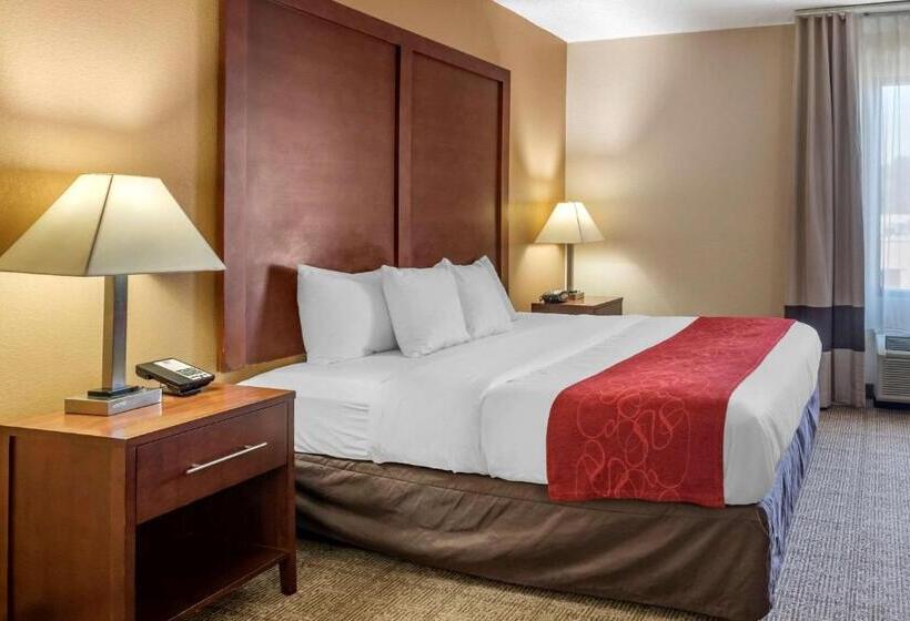 جناح ديلوكس, Comfort Suites