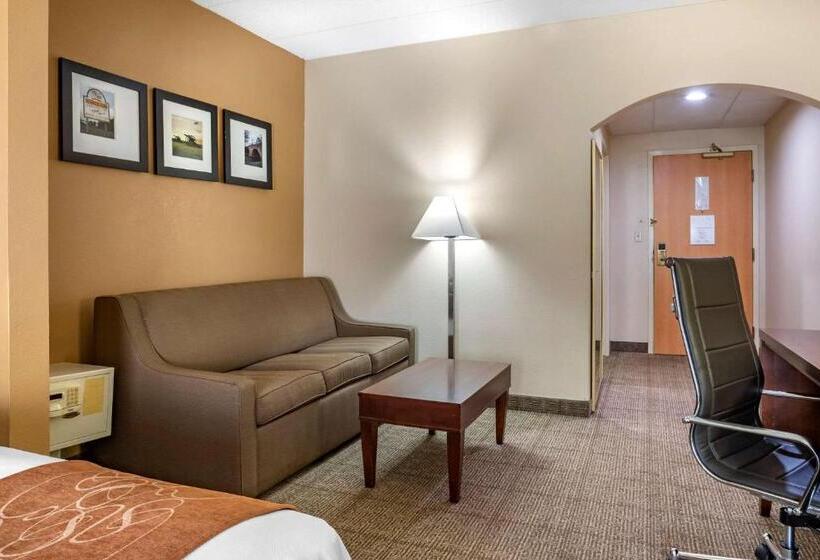 Люкс, Comfort Suites