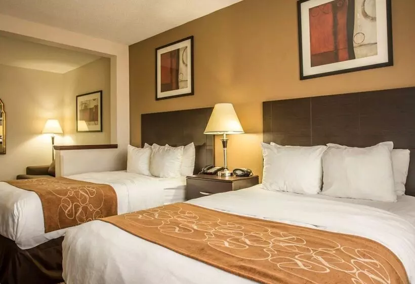 スイート, Comfort Suites