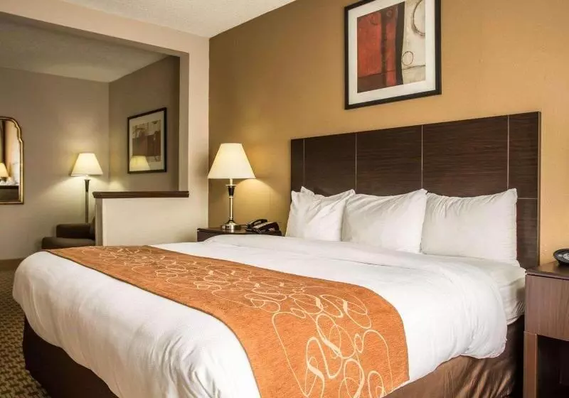 キングサイズベッドのスイートルーム, Comfort Suites