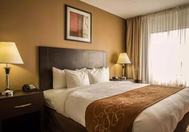 キングサイズベッドのスイートルーム, Comfort Suites