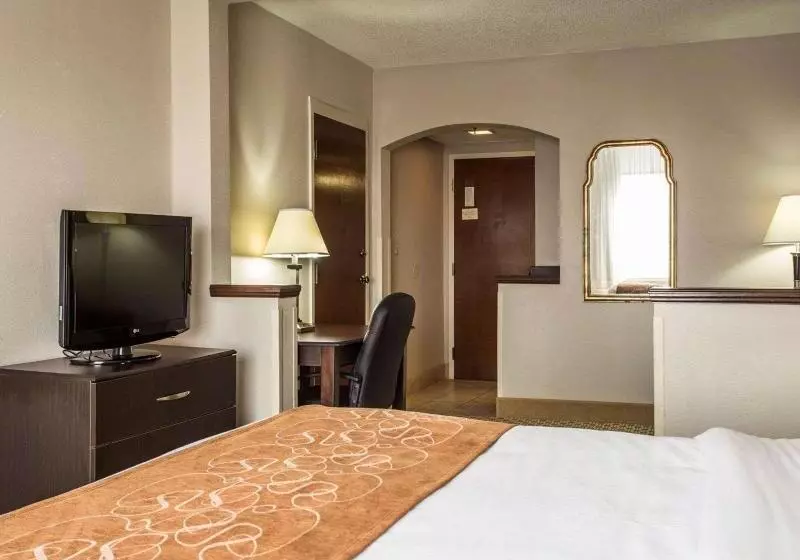 キングサイズベッドのスイートルーム, Comfort Suites