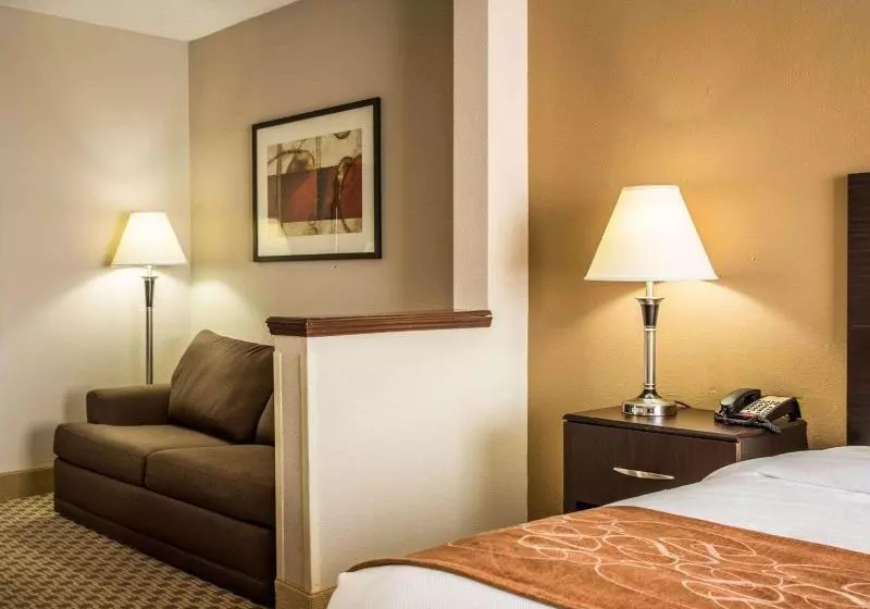 キングサイズベッドのスイートルーム, Comfort Suites