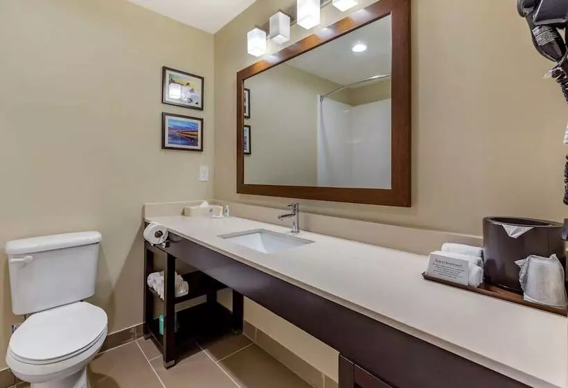 سوییت, Comfort Suites Near Camp Lejeune