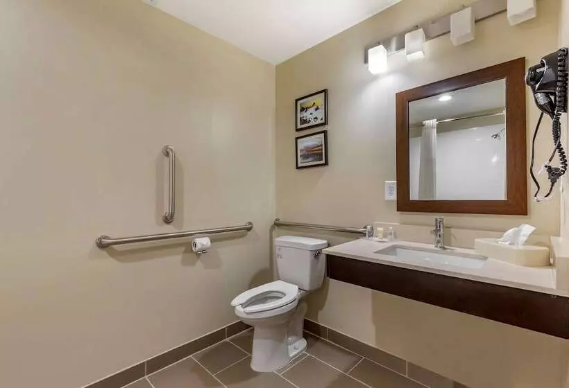 سوییت, Comfort Suites Near Camp Lejeune