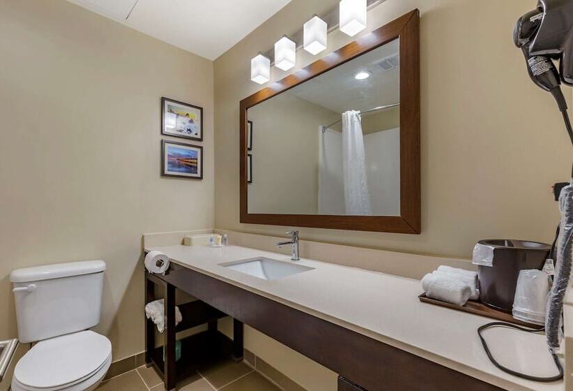 Люкс, Comfort Suites Near Camp Lejeune