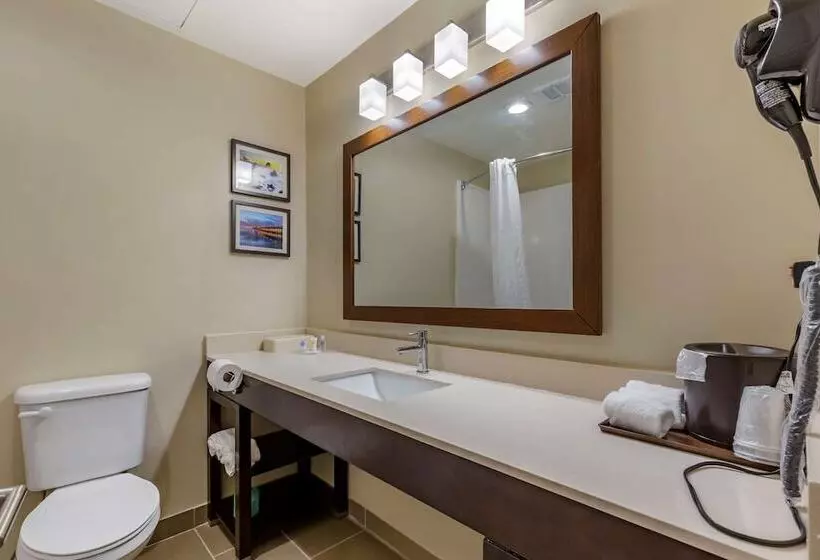 سوییت, Comfort Suites Near Camp Lejeune