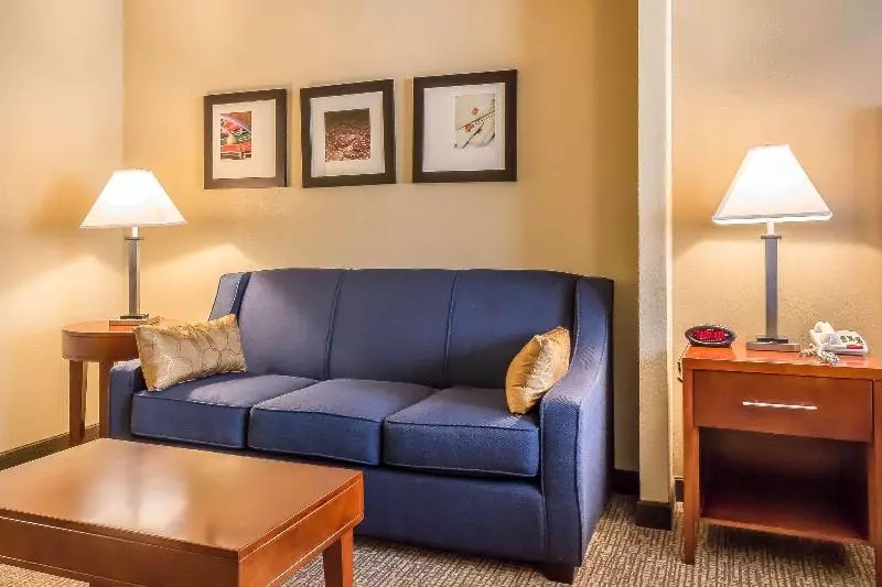 キングサイズベッドのスイートルーム, Comfort Suites Near Casinos