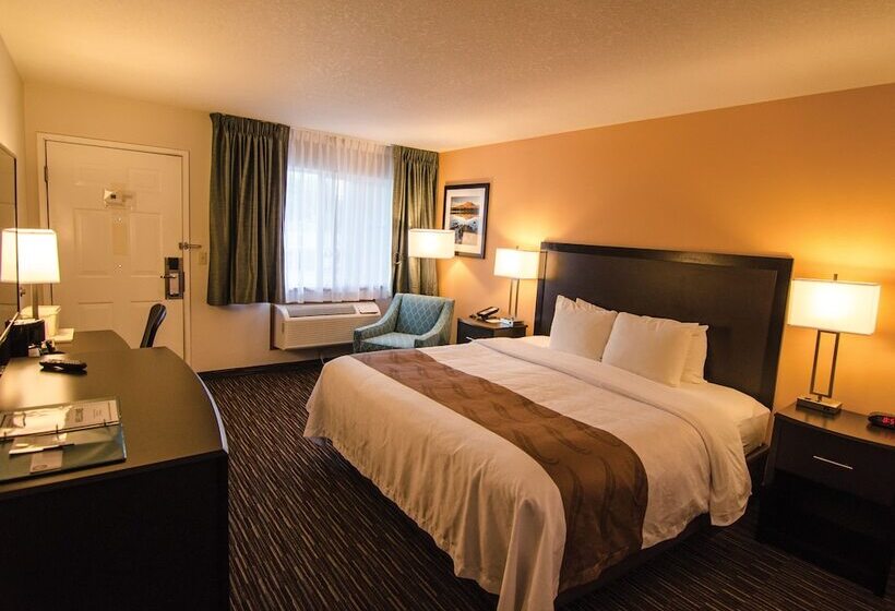 Номер Deluxe, Cottage Grove Inn