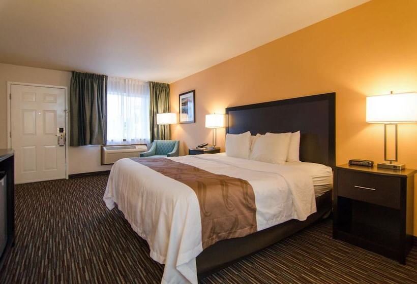 غرفة ديلوكس, Cottage Grove Inn