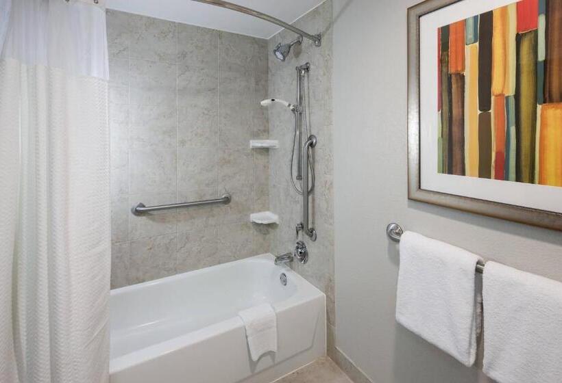 带大床的标准间, Courtyard By Marriott Waco