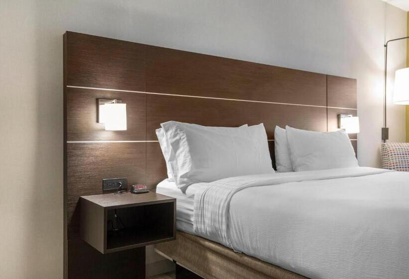 스탠다드 룸, Holiday Inn Express And Suites Chicago West   St Charles, An Ihg