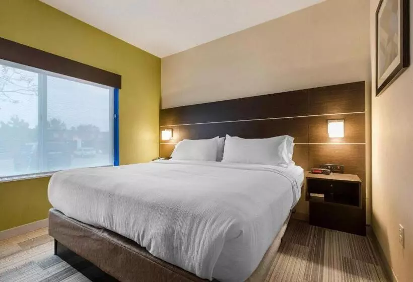 Sviitti King-vuode, Holiday Inn Express And Suites Chicago West St Charles, An Ihg
