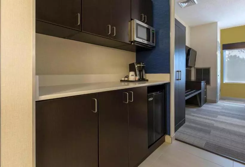 Sviitti King-vuode, Holiday Inn Express And Suites Chicago West St Charles, An Ihg