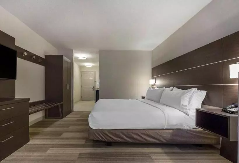 Sviitti Liikuntarajoitteisille, Holiday Inn Express And Suites Chicago West St Charles, An Ihg
