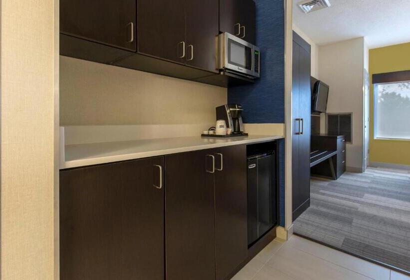 장애인을 위한 스위트, Holiday Inn Express And Suites Chicago West   St Charles, An Ihg