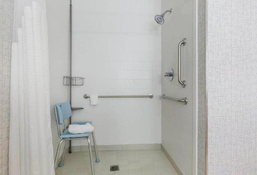 장애인을 위한 킹사이즈 침대 스탠다드 룸, Holiday Inn Express And Suites Chicago West   St Charles, An Ihg