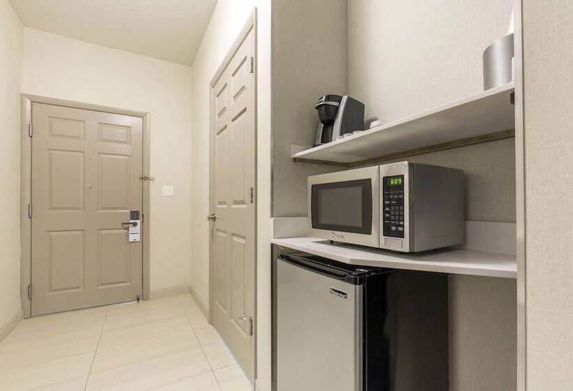 장애인을 위한 스위트, Holiday Inn Express And Suites Chicago West   St Charles, An Ihg