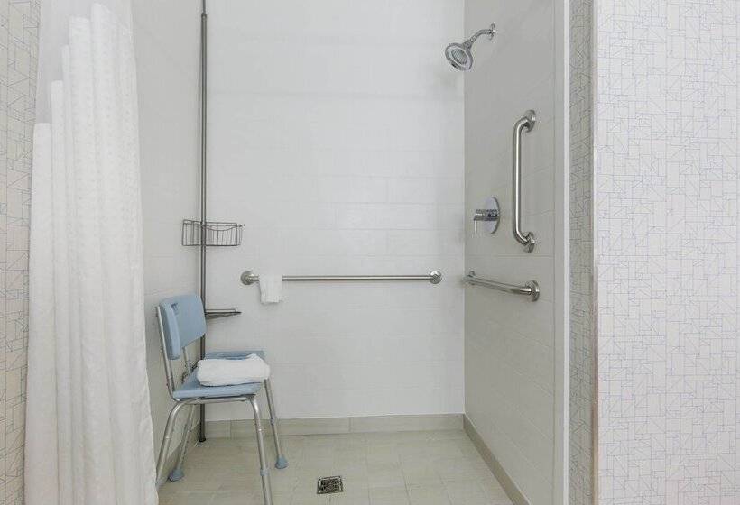 장애인을 위한 스위트, Holiday Inn Express And Suites Chicago West   St Charles, An Ihg