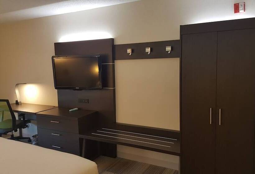장애인을 위한 스위트, Holiday Inn Express And Suites Chicago West   St Charles, An Ihg