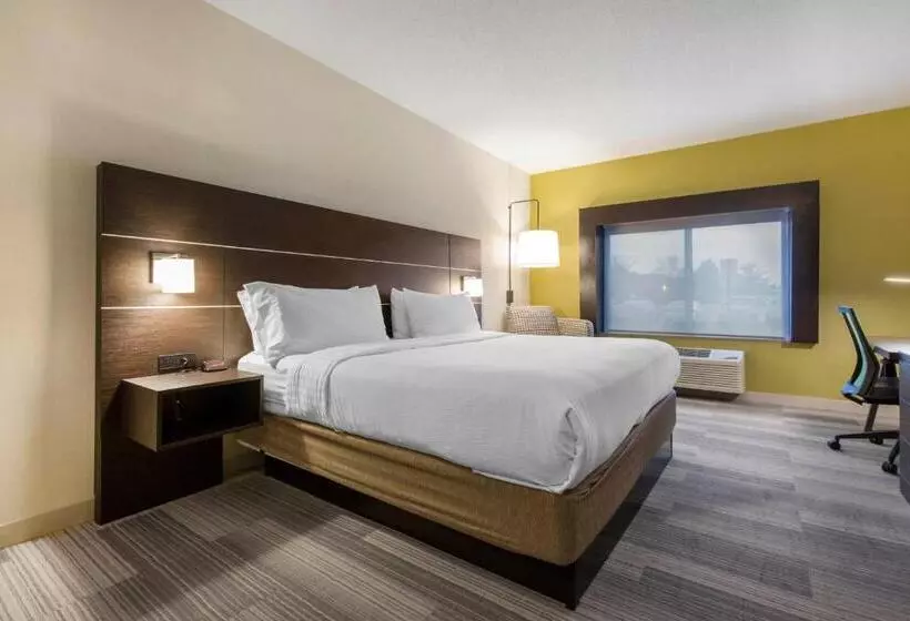 Standard-invahuone King-vuode, Holiday Inn Express And Suites Chicago West St Charles, An Ihg