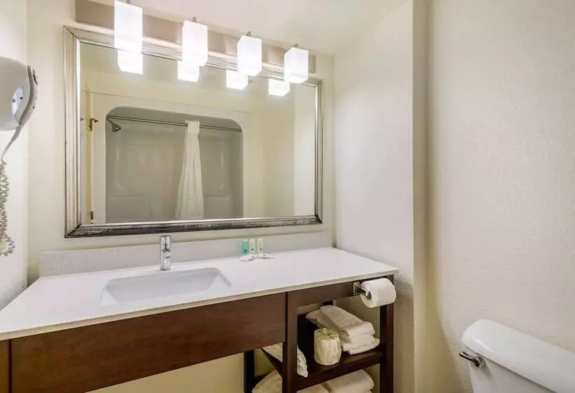 ２ダブルベッドのスタンダードルーム, Quality Inn & Suites Olde Town