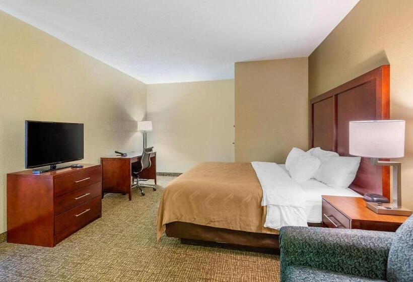 غرفة قياسية سرير كينج, Quality Inn & Suites Olde Town