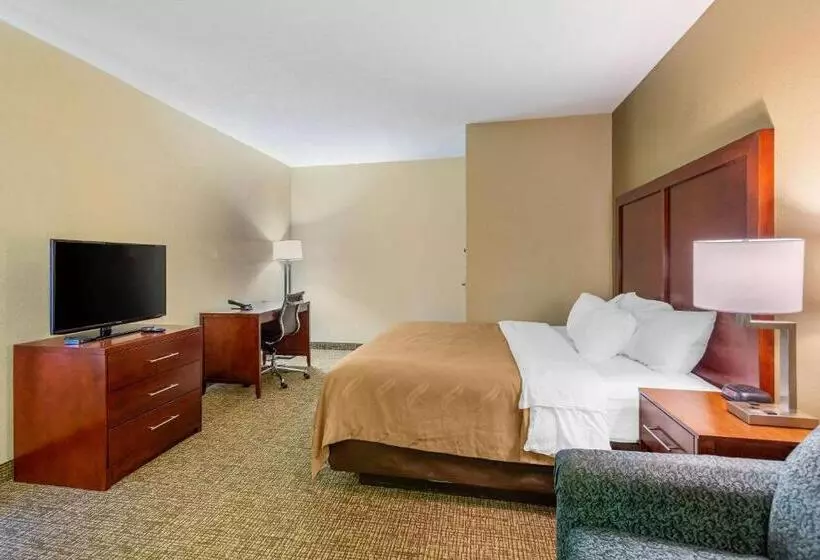 キングサイズベッドのスタンダードルーム, Quality Inn & Suites Olde Town