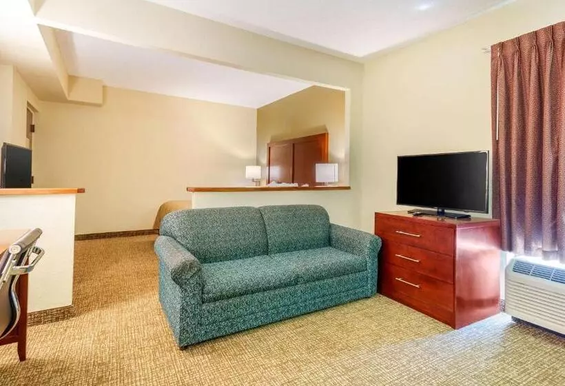 キングサイズベッドのスイートルーム, Quality Inn & Suites Olde Town